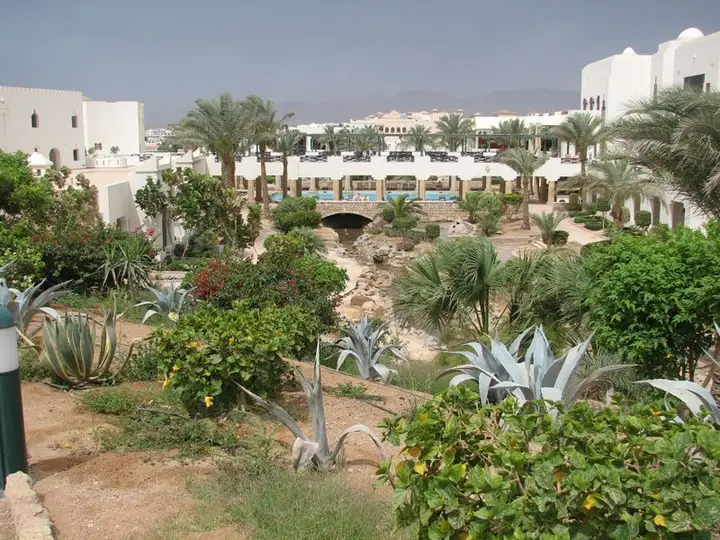 Шарм-эш-Шейх (Шарм-эль-Шейх): Crowne Plaza Resort