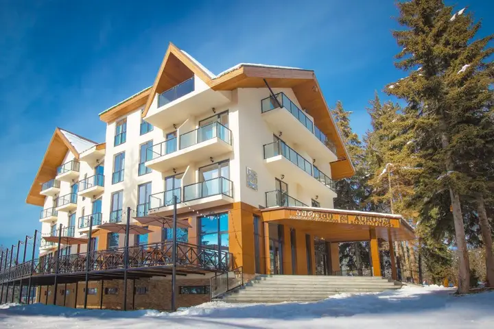 Бакуриани: Отель Auroom Resort