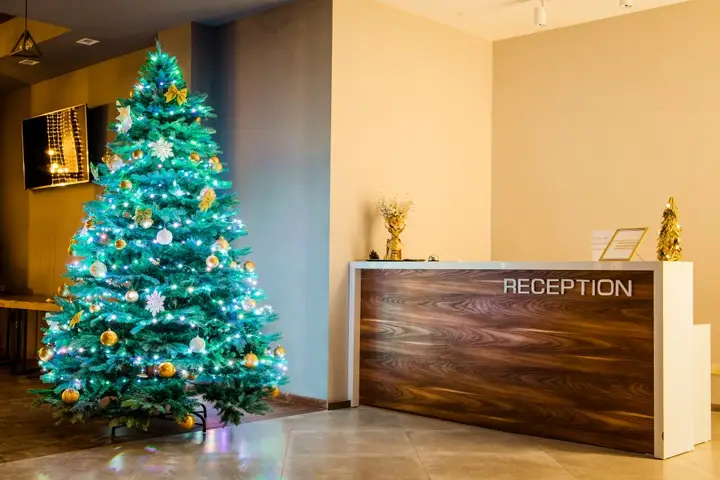 Бакуриани: Отель Auroom Resort