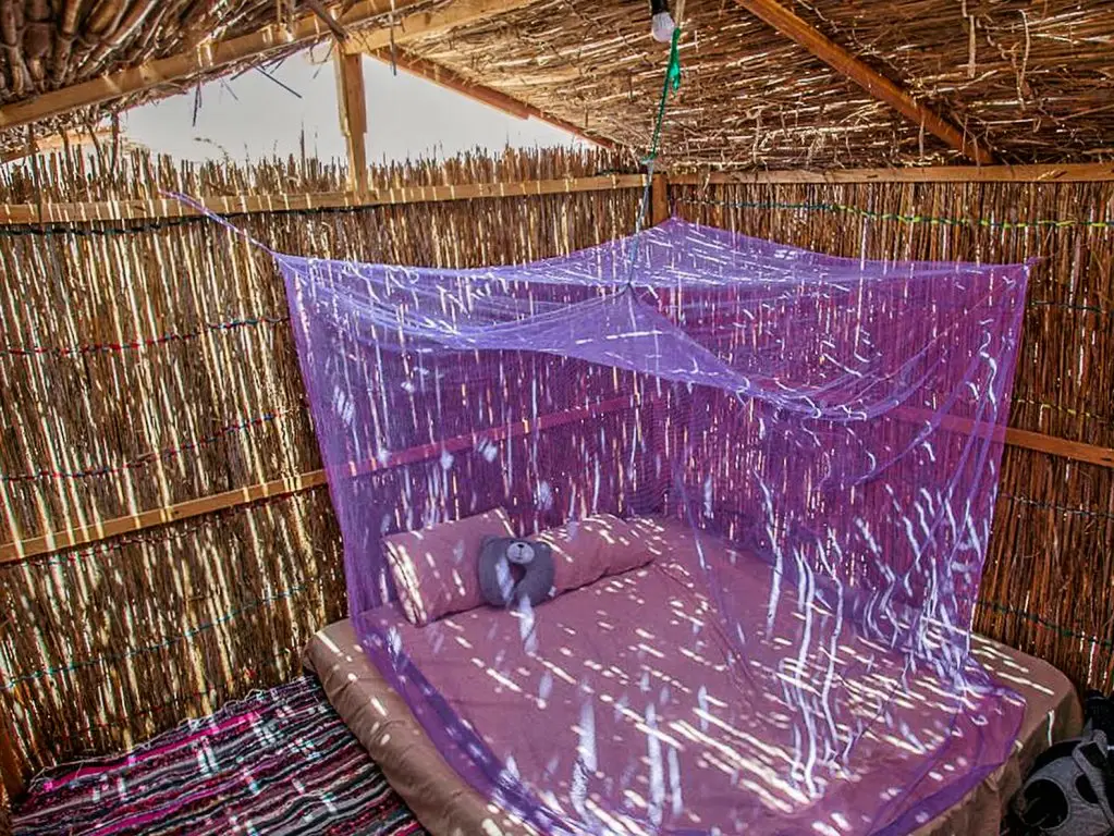 Таба: Кемпинг Bamba Camp