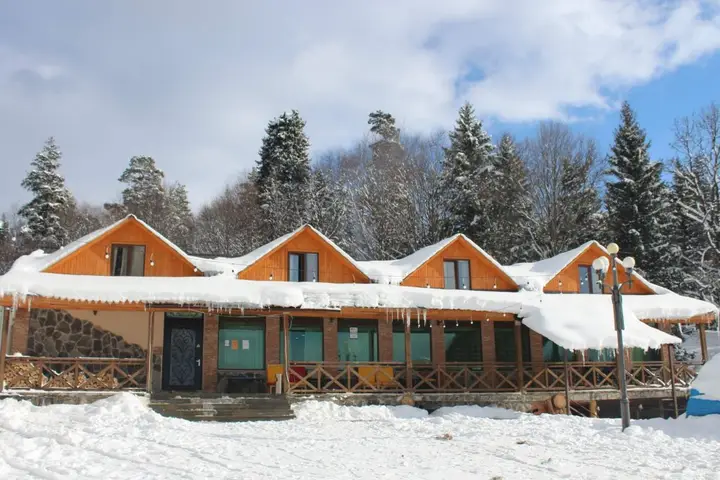 Бакуриани: Отель Eco House Bakuriani