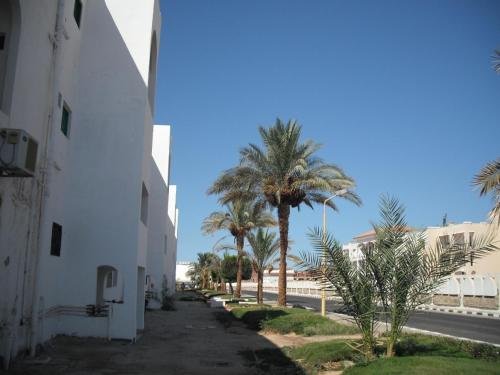 Хургада: Reemyvera Resort