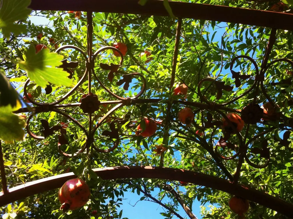 Тбилиси: Апартаменты Granat Garden