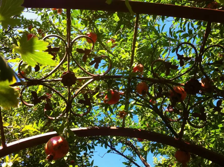 Тбилиси: Апартаменты Granat Garden