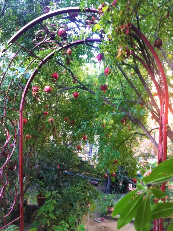 Тбилиси: Апартаменты Granat Garden