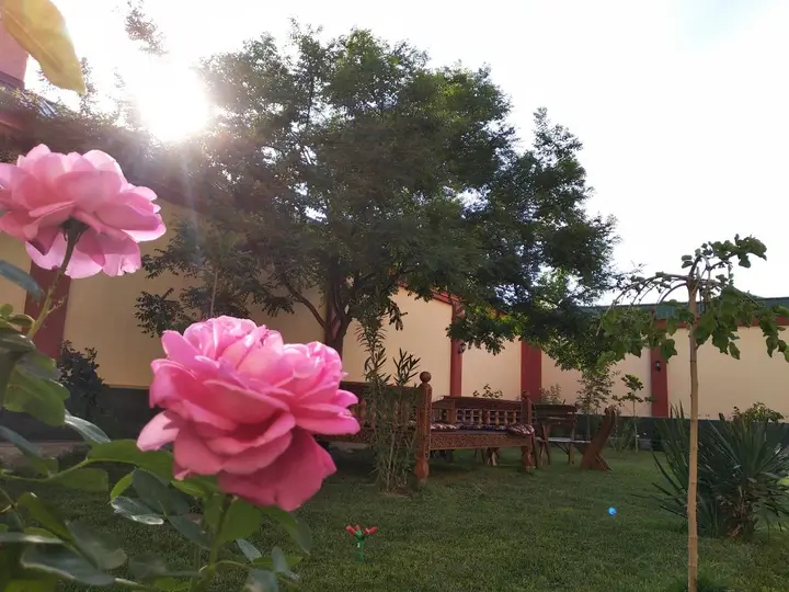 Ташкент: Отель Chinor Garden