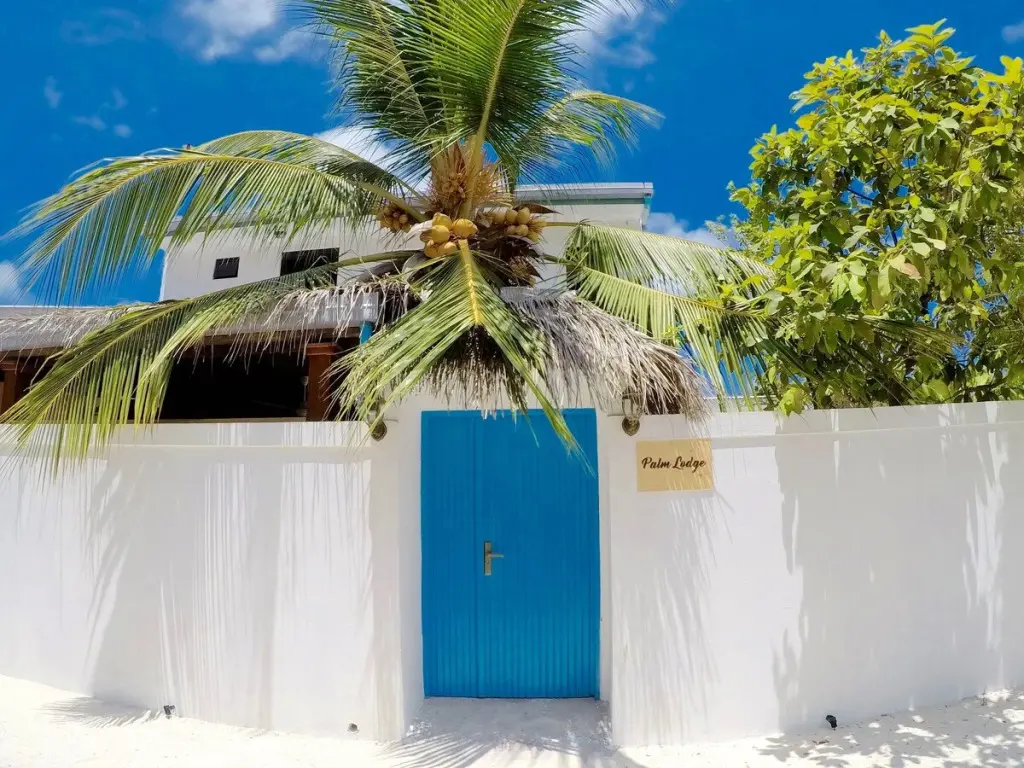 Северный атолл Мале: Гостевой дом Palm Lodge