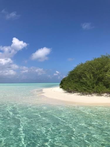Тинаду (Атолл Гаафу-Дхаалу): Отель Sunset Stay Maldives 