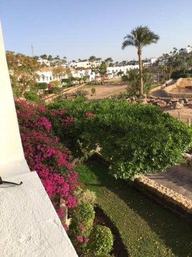 Шарм-эш-Шейх (Шарм-эль-Шейх): Holiday Rooms Domina Coral Bay