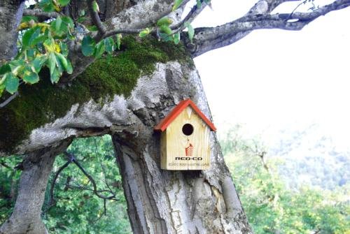 Бакуриани: Hotel Kedari Bakuriani