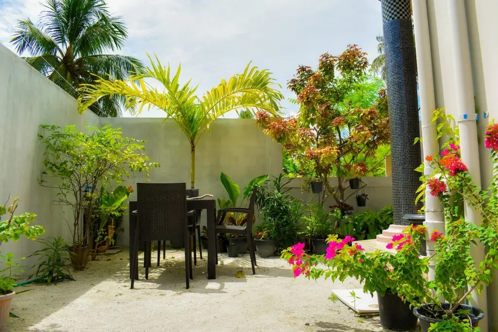 Фувамула: Гостевой дом Calyx Grand Fuvahmulah