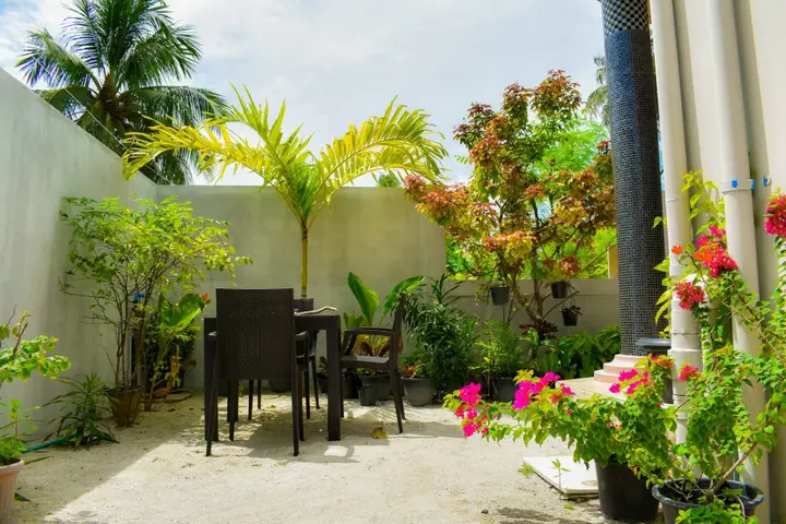 Фувамула: Гостевой дом Calyx Grand Fuvahmulah