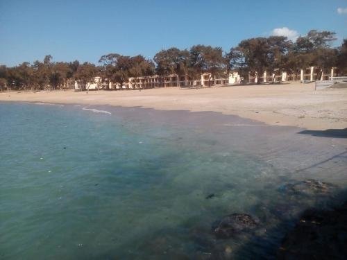 Александрия: Palma Inn Resort