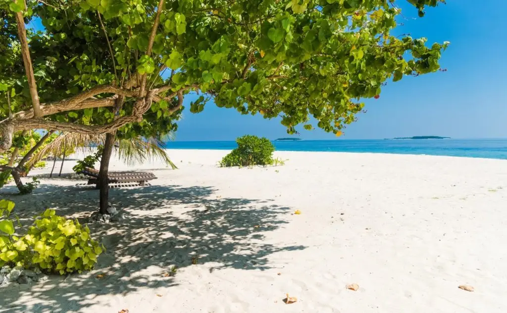 Атолл Баа: Villa Kamadhoo