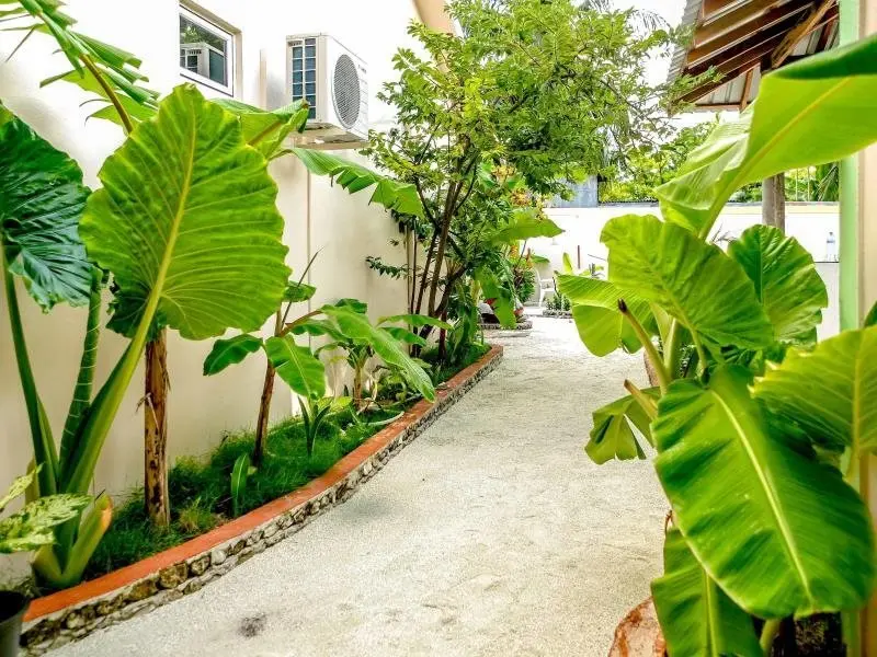 Атолл Алиф-Дхаалу: Banyan Villa Maldives