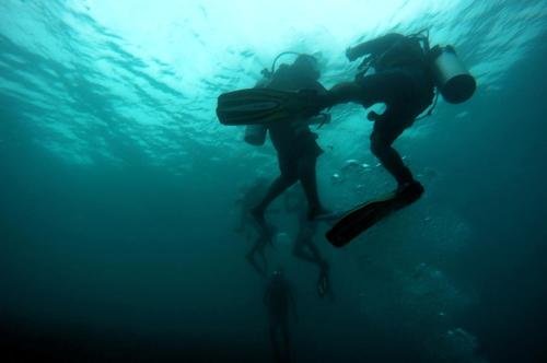 Атолл Алиф-Алиф: White Coral Rasdhoo