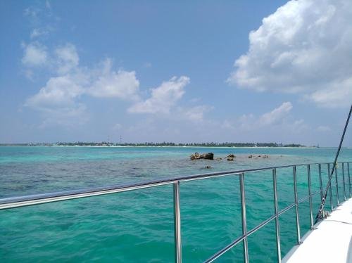 Атолл Алиф-Дхаалу: Maldives Diving Loabi