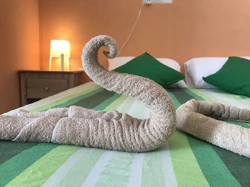 Северный атолл Мале: Ocean Vibes Guesthouse