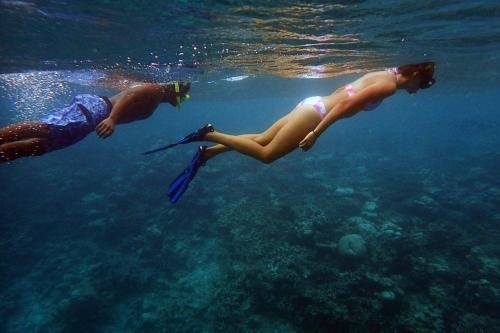 Атолл Алиф-Дхаалу: Omadhoo Inn