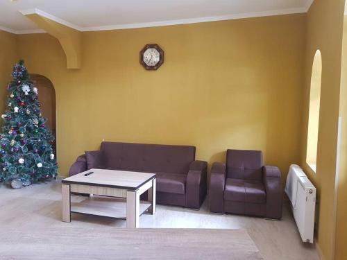 Бакурианский Андезит: Отель Babysito