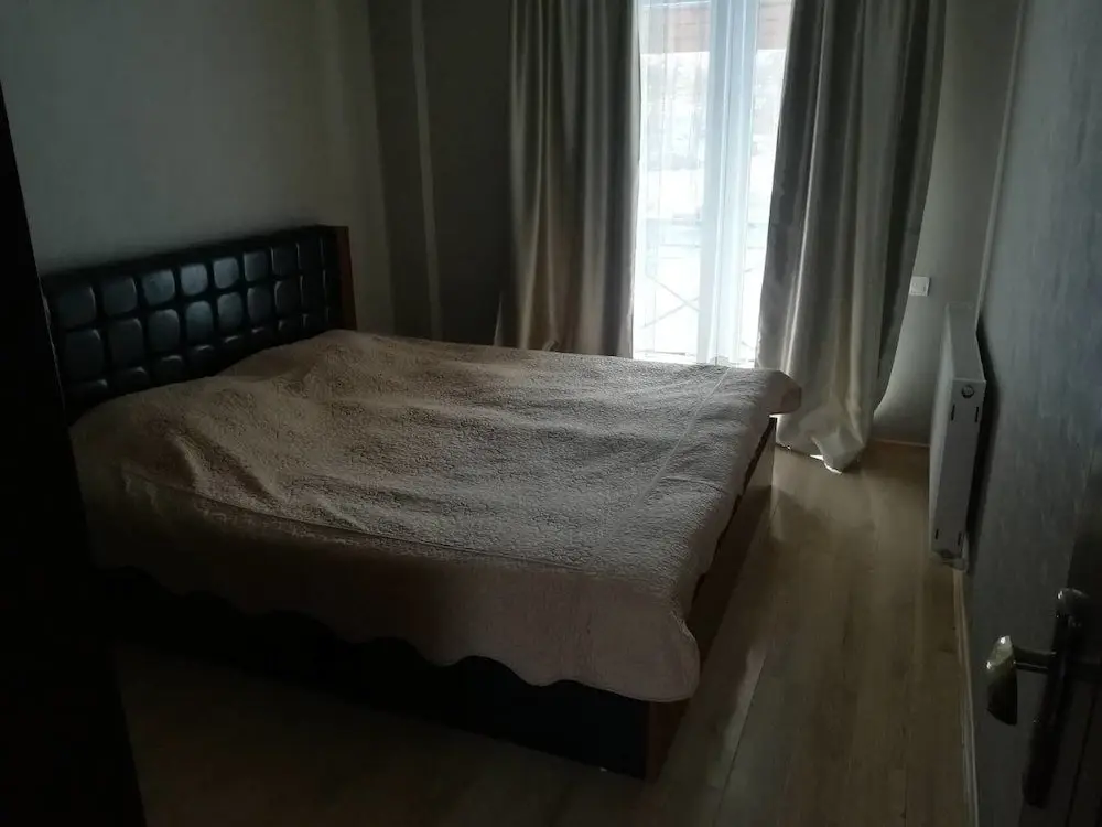 Бакурианский Андезит: Cottage 4 house in Bakuriani