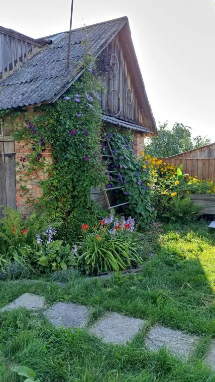 Несвиж: U Mamyi Svetyi Guest House