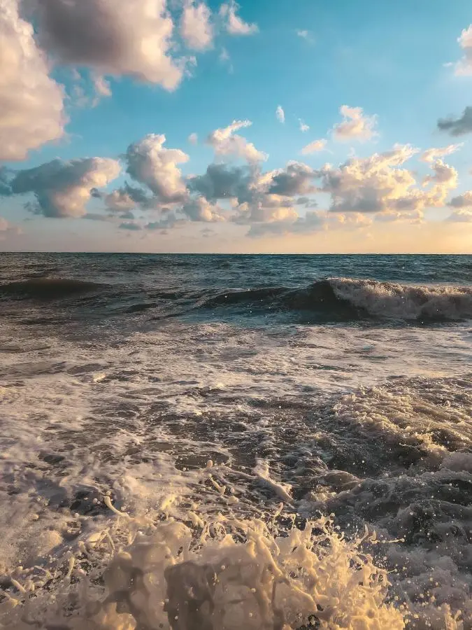 Геленджик: Отель Морская Звезда