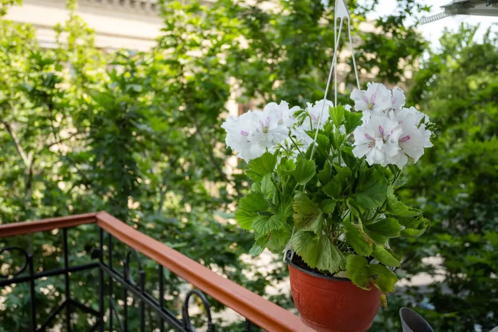 Баку: Бутик-Отель Avenue