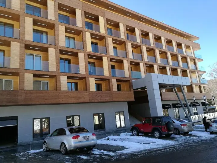 Бакуриани: Апартаменты in The Valley Bakuriani 311