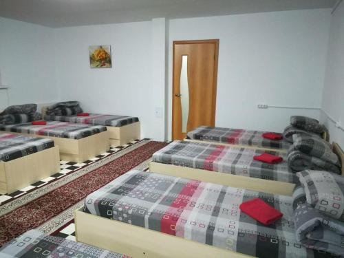 Минск: Guest House Tulip