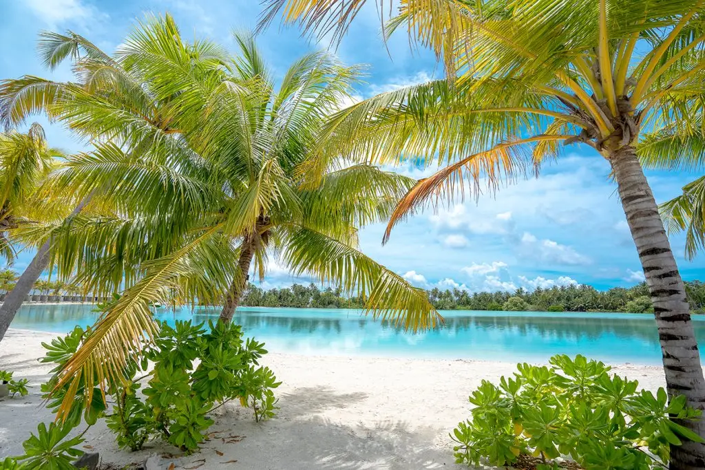 Курортный Отель Rahaa Resort — фото 1