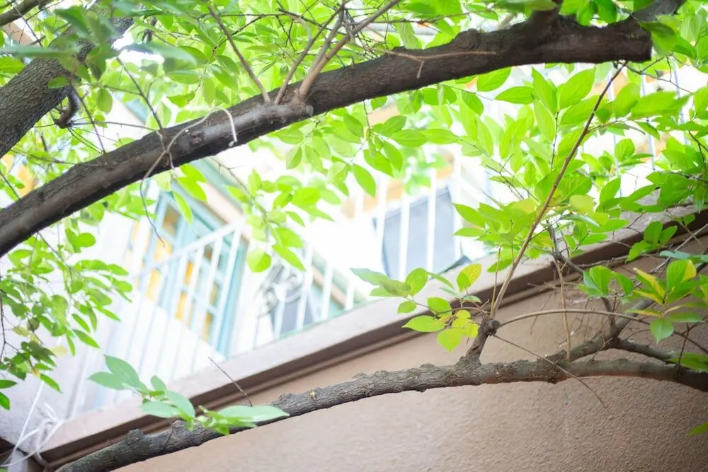 Тбилиси: Отель Veranda House, ул. Самрекло, 25