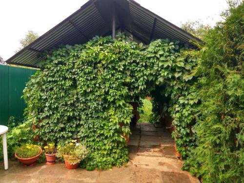 Казань: Guest House Rynochnaya 16