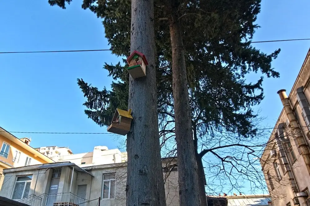 Тбилиси: Sakhli at Chavchavadze ave 15