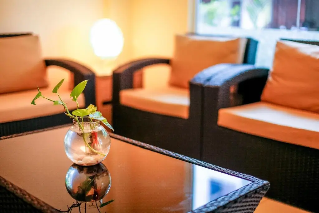 Северный атолл Мале: City Beach Hotel