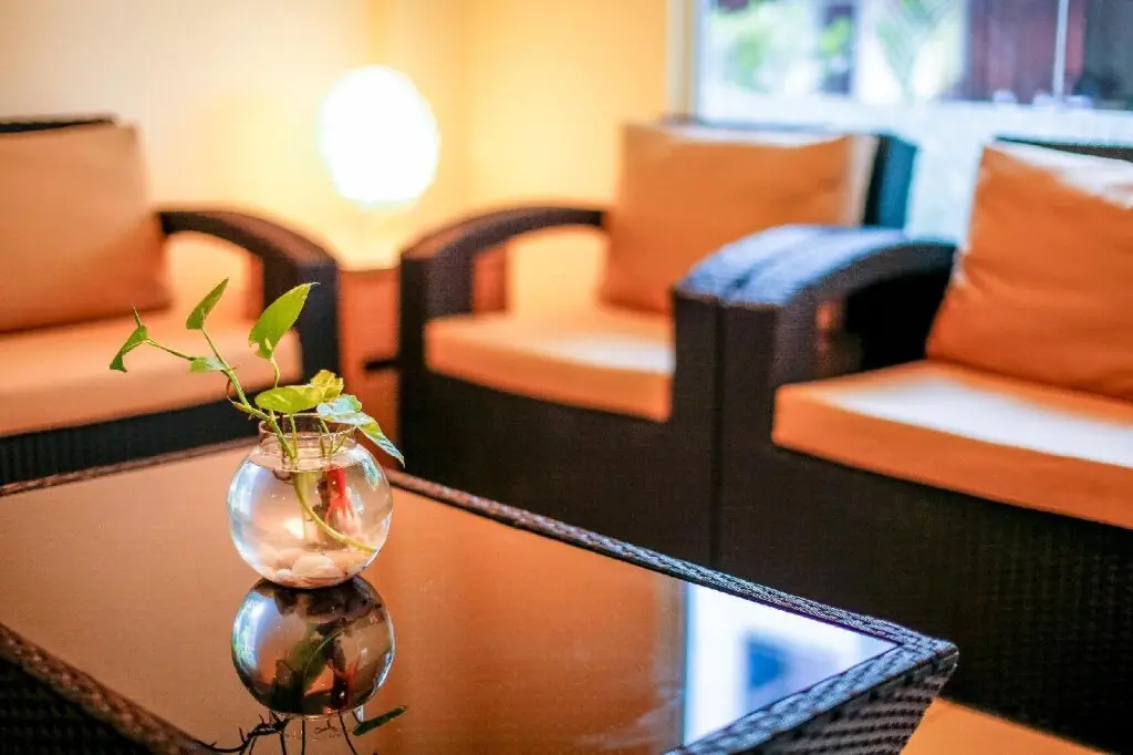 Северный атолл Мале: City Beach Hotel