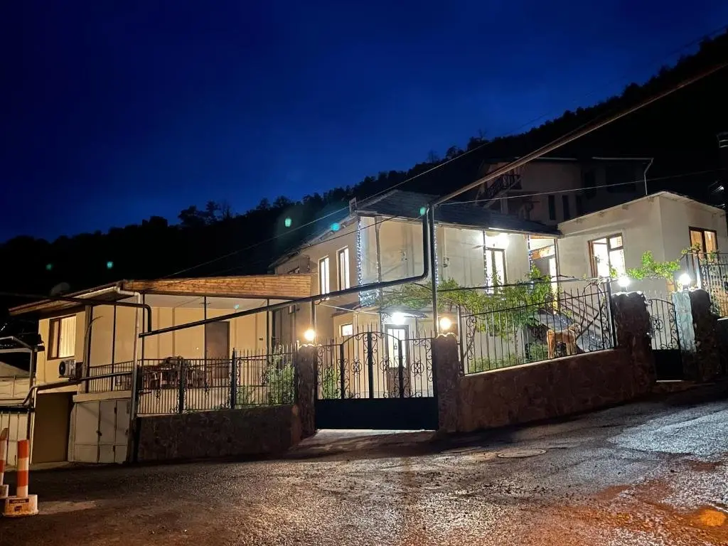 Боржоми: Luxury Apartment at Pirosmani 22 in central Borjomi