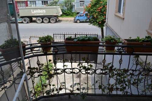 Батуми: Apartment Fumfula