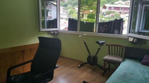 Боржоми: Guesthouse on Rustaveli 129