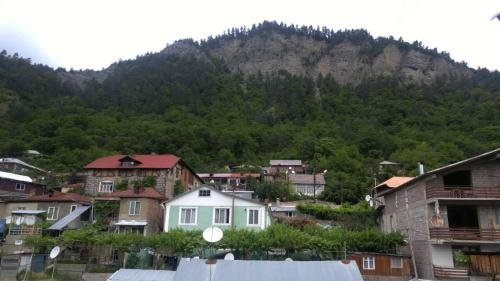 Боржоми: Guesthouse on Rustaveli 129