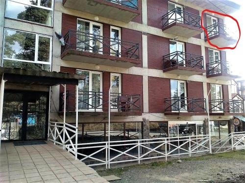 Бакуриани: Hotel Mgzavrebi Cottage 4-303