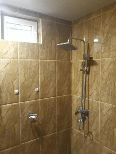 Боржоми: Apartment Erekle Street 9