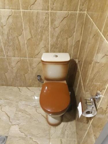 Боржоми: Apartment Erekle Street 9