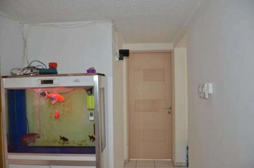 Дубай: Gong Yu Hostel