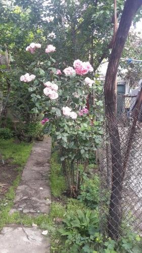 Тбилиси: 9/12 Z. Veshapuri Guest House