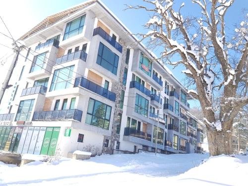 Бакуриани: 401 Aparthotel in Bobline