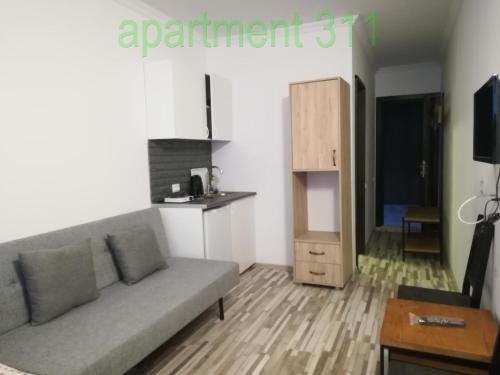 Гудаури: Gudauri Loft Apartment 311