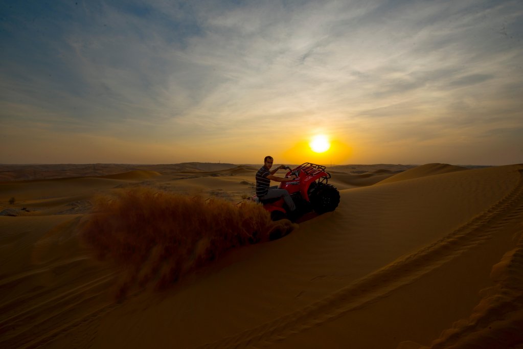 Оазис Лива: Liwa Hotel