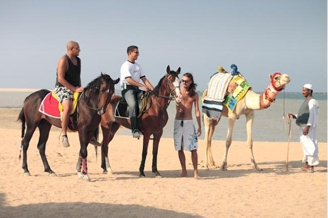 Эль-Кусейр: Albatros Sea World Marsa Alam