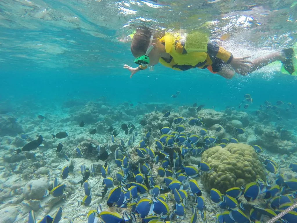 Гаафару Атолл: Mariana Inn Maldives